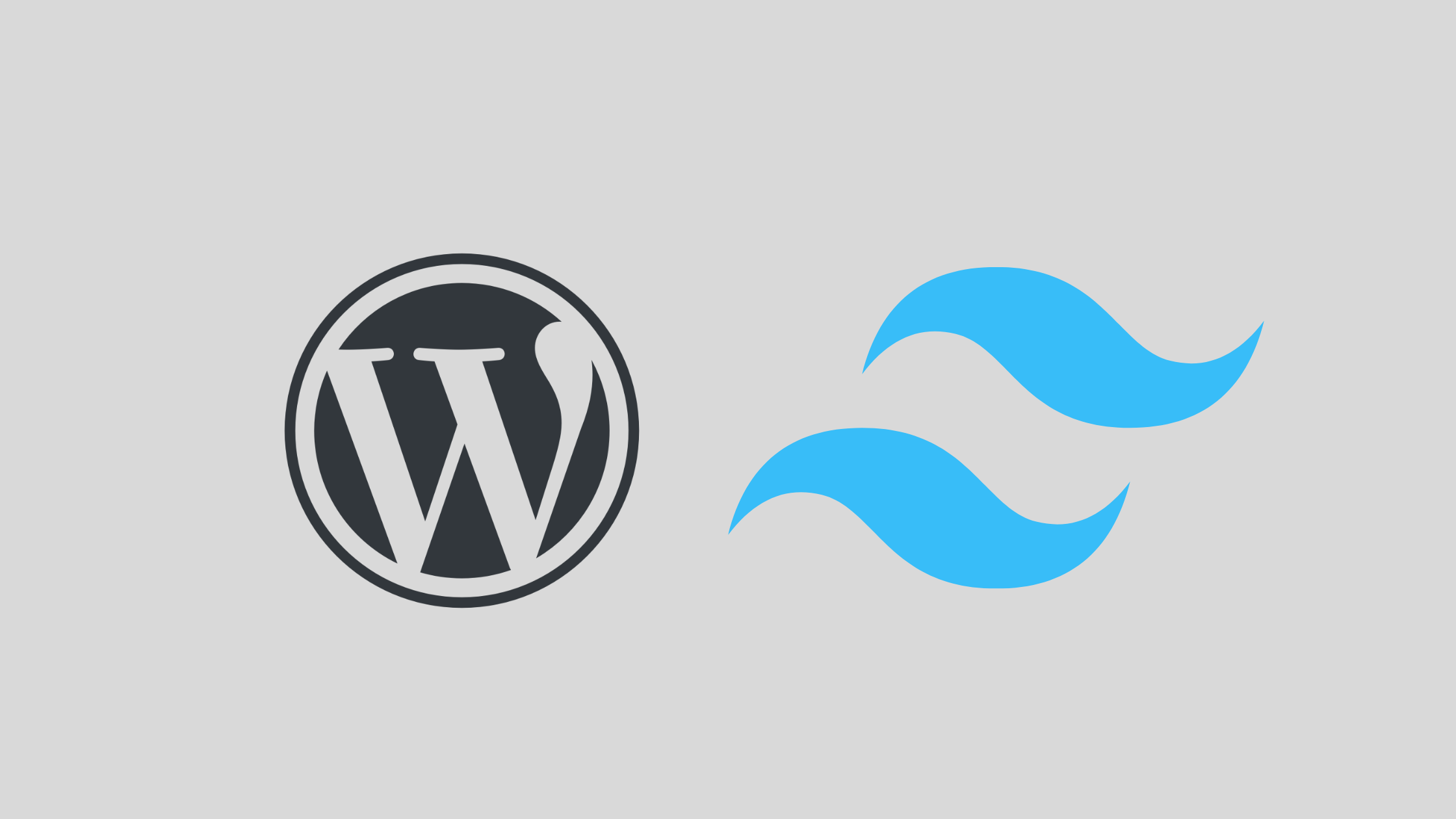 Install Tailwindcss in WordPress theme